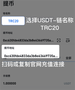 2选择USDT-链名称